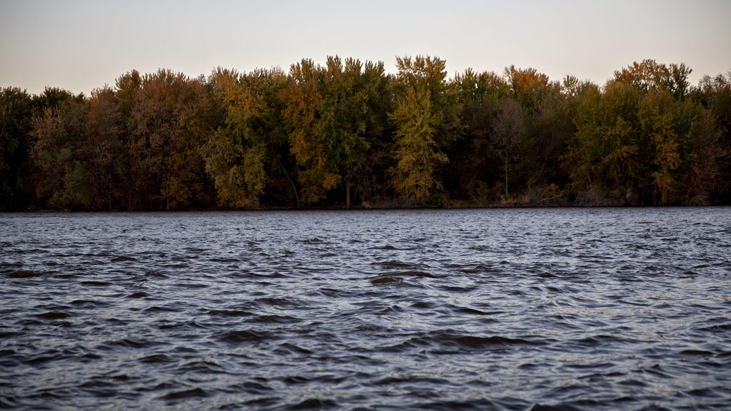 Watchdog says PFAS found in 100% of Minnesota water testing sites — WCCO / CBS Minnesota, Roseville Health news