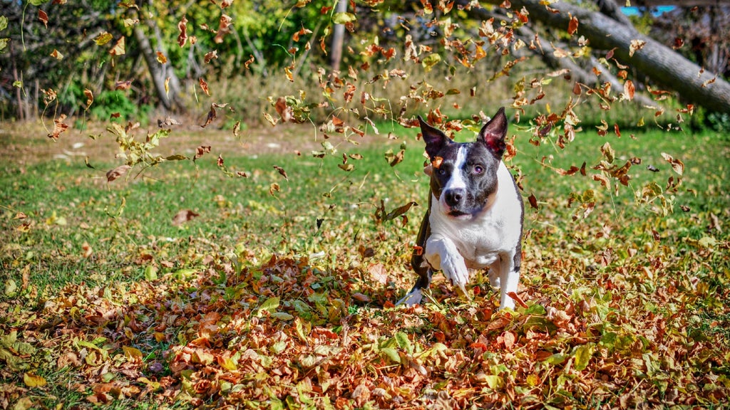 Windy and hot Sunday in Minnesota; rain possible Monday — WCCO / CBS Minnesota, Roseville Community news