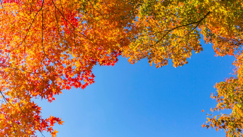 More near-record warmth Monday in Minnesota ahead of big cooldown — WCCO / CBS Minnesota, Roseville Community news