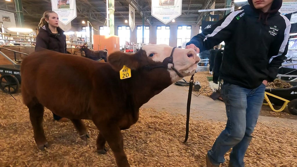 Spotlight on beef as Minnesota midterms near — WCCO / CBS Minnesota, Roseville Community news