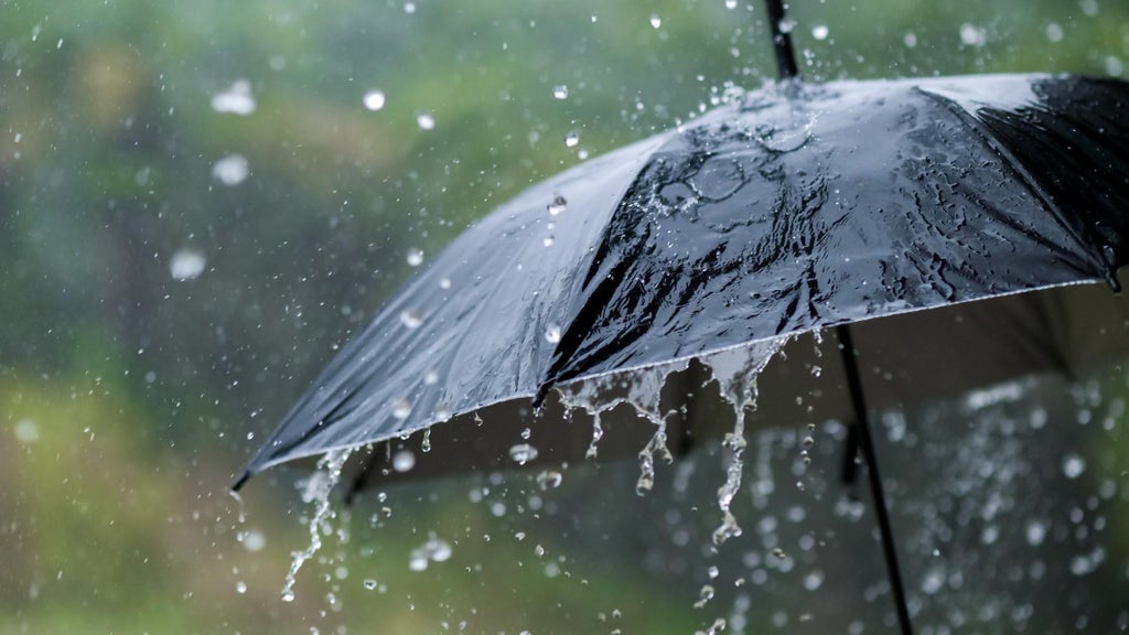 Widespread rain in Minnesota Monday; milder air returns Tuesday — WCCO / CBS Minnesota, Roseville Community news