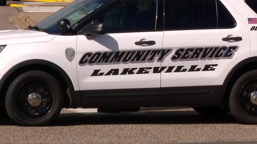 Lakeville man convicted of murdering sister, her unborn child in 2024 — WCCO / CBS Minnesota, Roseville Community news