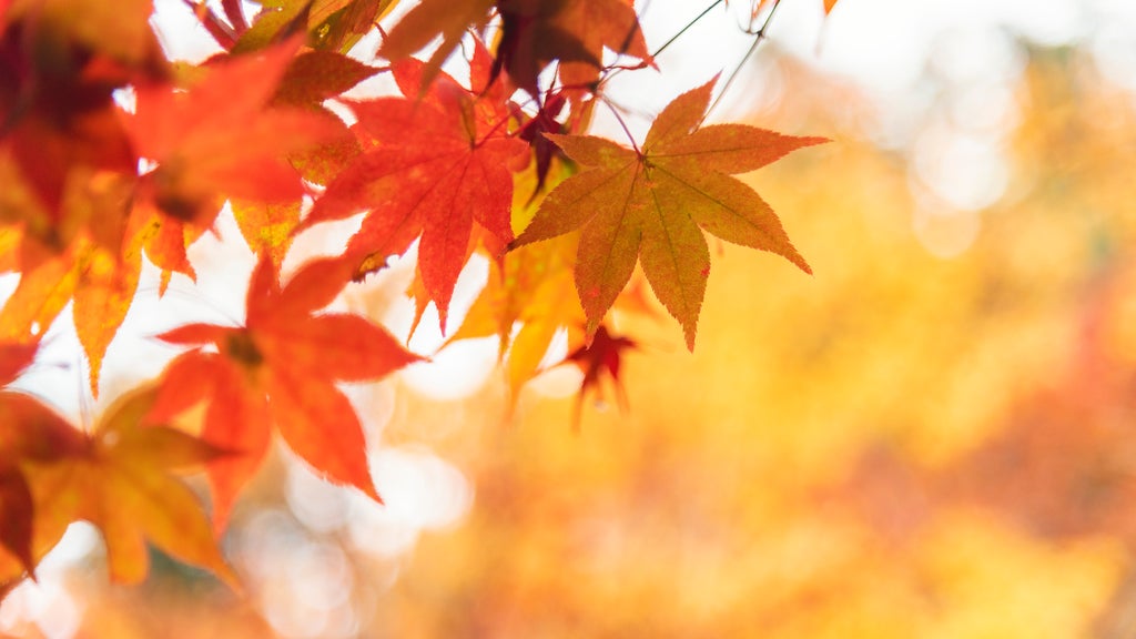 More sunny, mild late October weather in Minnesota Tuesday — WCCO / CBS Minnesota, Roseville Business news