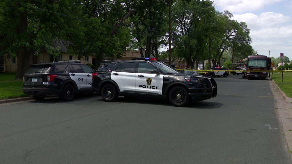 Man sentenced for killing cousin during fight in Bloomington driveway — WCCO / CBS Minnesota, Roseville Community news