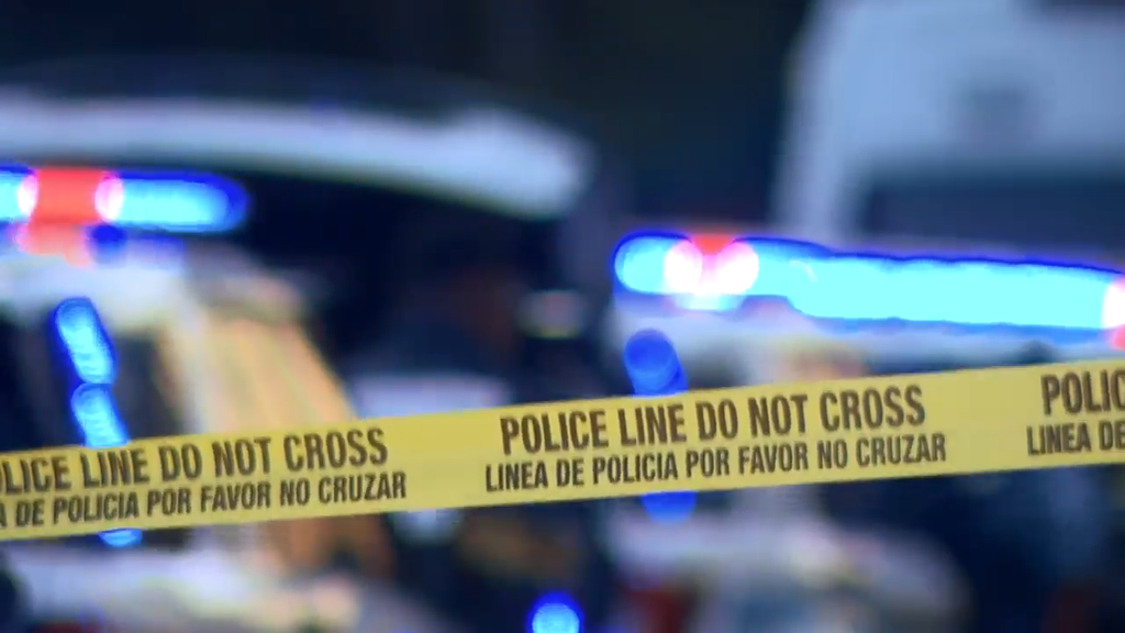 Man accused of stabbing, killing his own mother in Tamarac, BSO says — CBS Miami, Roseville Health news