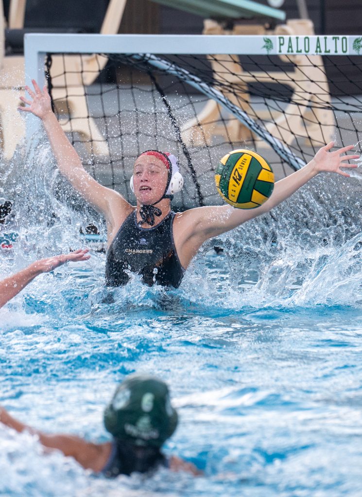 Wilcox Water Polo Caught in Vikings Rip Current — Silicon Valley Voice, Roseville Sports news