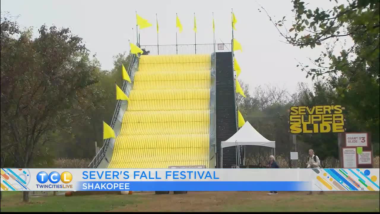 MEA Break Fall Fun Ideas — KSTP 5, Roseville Arts news