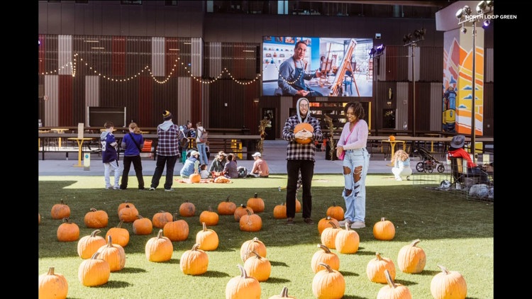 Spooky season with North Loop Green — KARE 11 Local, Roseville Sports news