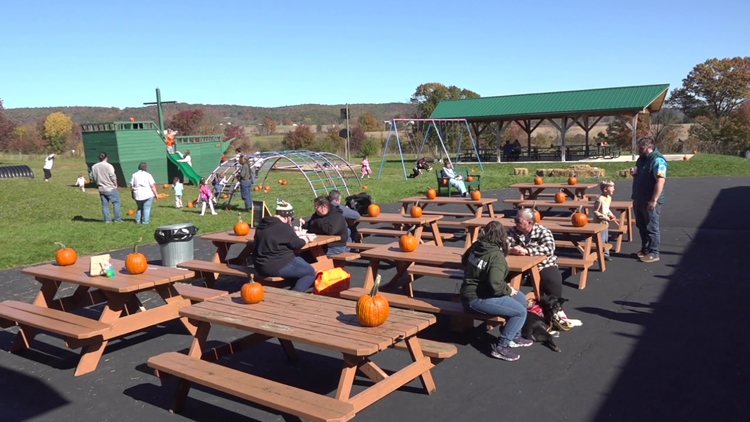 Outdoor festival in Columbia County brings together artists and businesses to connect with the community — WNEP 16 (Scranton/Wilkes-Barre), Roseville Arts news