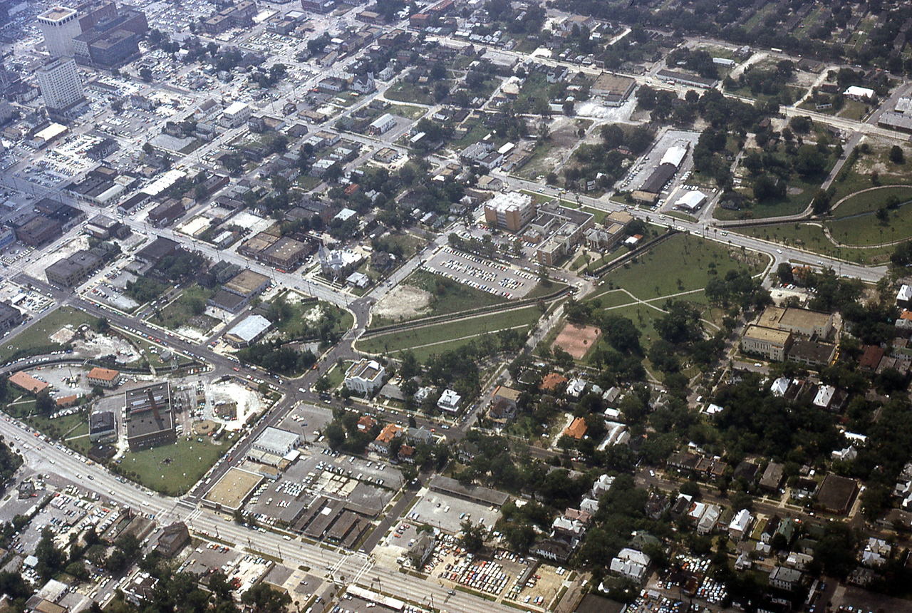 THE JAXSON | The oak tree that remembers Black Bottom — Jacksonville Today, Roseville Schools news