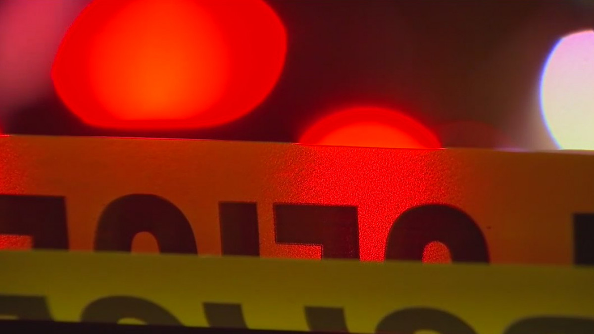 Eden Prairie homecoming shooting: Riot suspect charged in separate graduation gun incident — FOX 9, Roseville Schools news