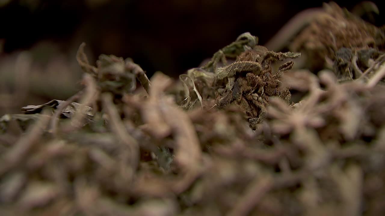 Hemp THC deadline hits $200 million industry, leads to layoffs, but liquor stores may maintain — FOX 9, Roseville Business news