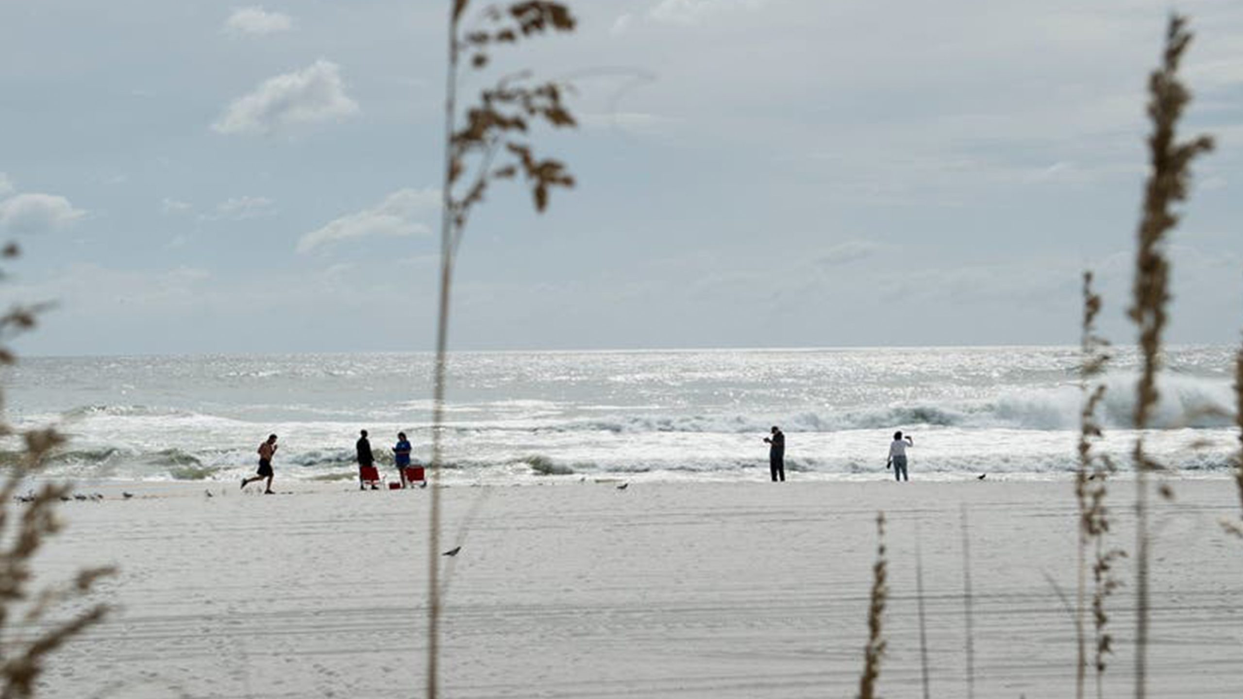 Father of 2 drowns after being caught in current trying to rescue seagull caught in fishing line — Roseville Community news