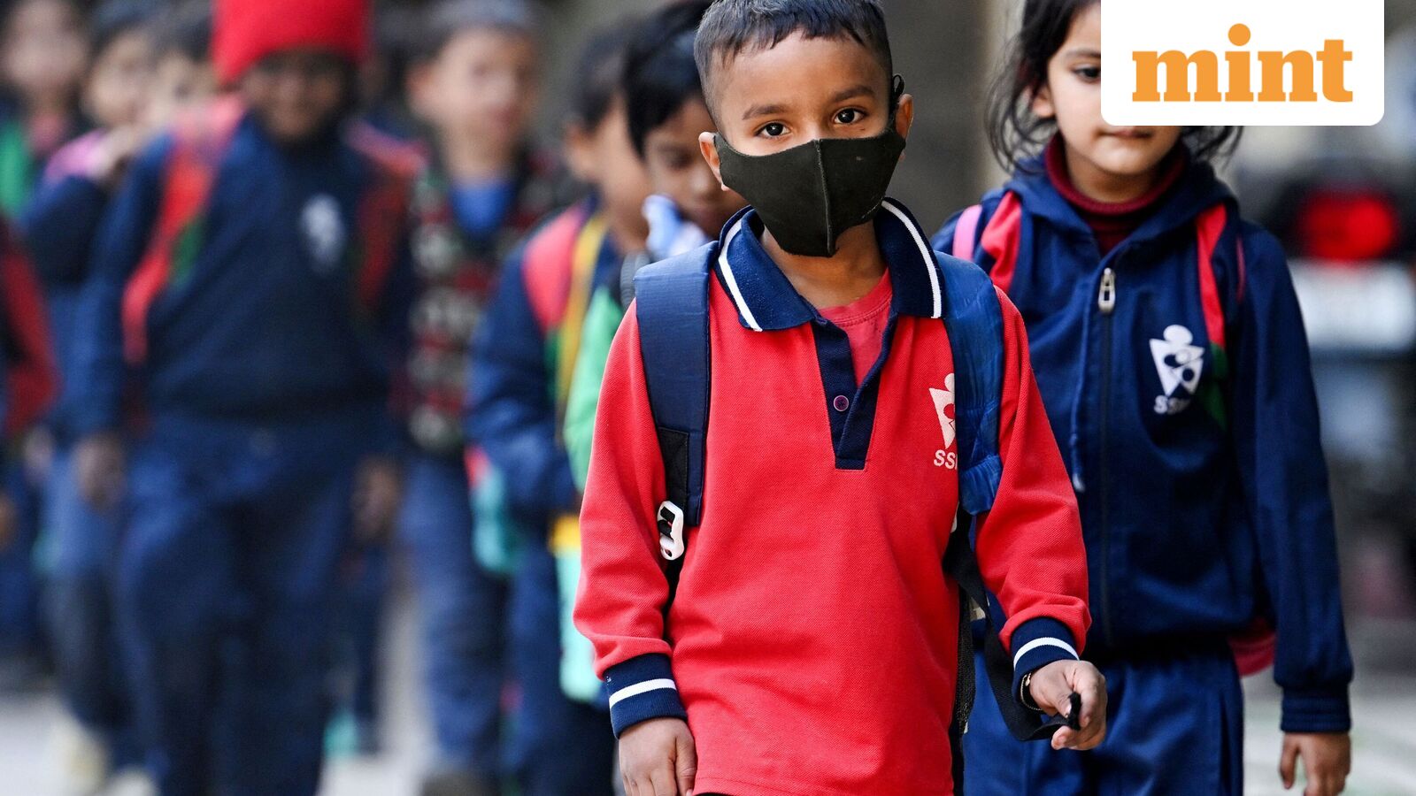 Chennai school holiday, Oct 21: Schools shut in four Tamil Nadu districts as heavy rains predicted | Check IMD alert — Mint India, Roseville Schools news